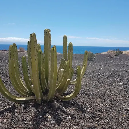 Tenerife Lizards - Duplex In The First Line Nyaraló