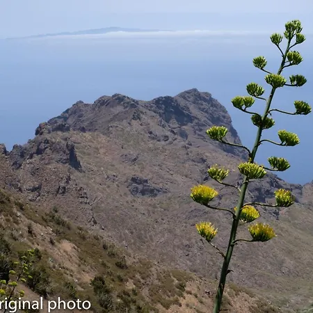 Nyaraló Tenerife Lizards - Duplex In The First Line