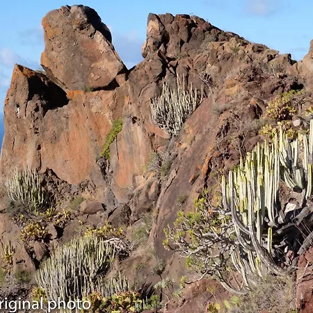 Tenerife Lizards - Duplex In The First Line Hébergement de vacances Callao Salvaje