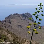 Dom wakacyjny Tenerife Lizards - Duplex In The First Line