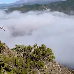 Tenerife Lizards - Duplex In The First Line Feriehus