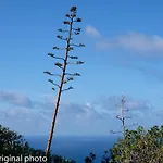 Tenerife Lizards - Duplex In The First Line Dom wakacyjny Callao Salvaje