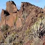 Tenerife Lizards - Duplex In The First Line Dom wakacyjny Callao Salvaje