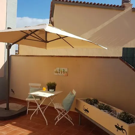 Tenerife Lizards - Duplex In The First Line * Callao Salvaje